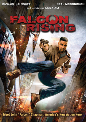 Falcon Rising            Book Cover
