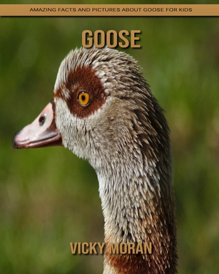 Paperback Goose: Amazing Facts and Pictures about Goose for Kids [Large Print] Book