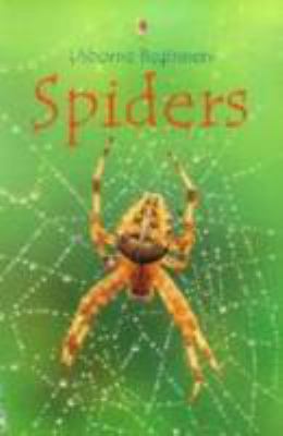 Spiders (Beginners) 0794501672 Book Cover