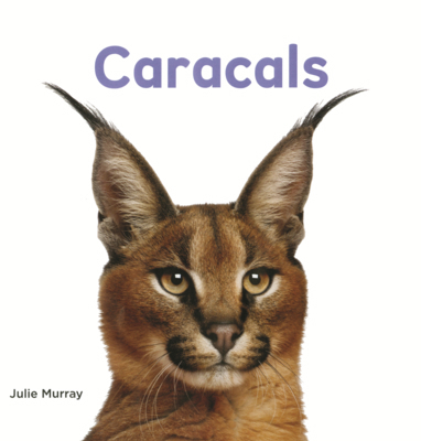 Caracals B0GN253K3C Book Cover