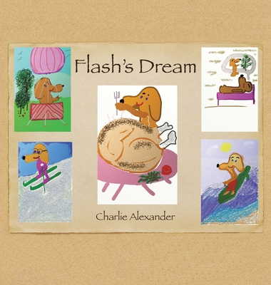 Flash's Dream 1669875458 Book Cover