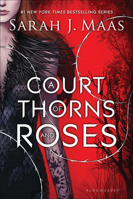 A Court of Thorns and Roses 0606385487 Book Cover