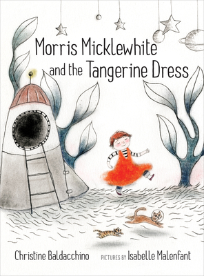 Morris Micklewhite and the Tangerine Dress 1554983479 Book Cover