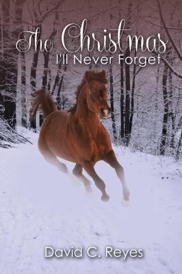 The Christmas I'll Never Forget 1936746271 Book Cover