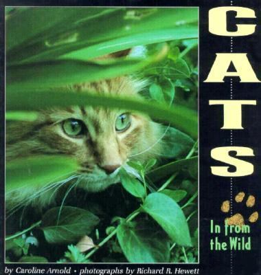 Cats in from the Wild 087614962X Book Cover