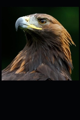 Red Eagle 1546515097 Book Cover