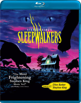 Sleepwalkers            Book Cover