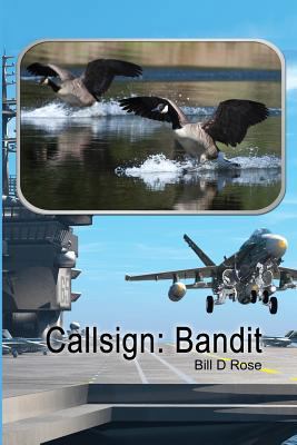 Callsign: Bandit 1480948829 Book Cover