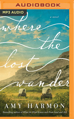 Where the Lost Wander 1799738507 Book Cover