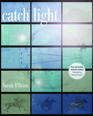 Catch Light 1566892376 Book Cover