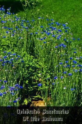 Celebrated Sanctuaries Of The Madonna 1470085739 Book Cover