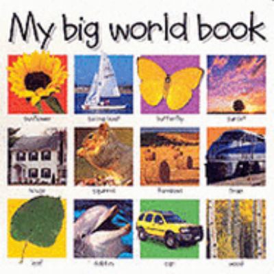 My Big World Book 1843320835 Book Cover