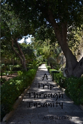 A Trip Through Insanity 1300900083 Book Cover
