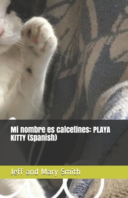 Mi nombre es calcetines: PLAYA KITTY (Spanish) [Spanish] 1713292270 Book Cover
