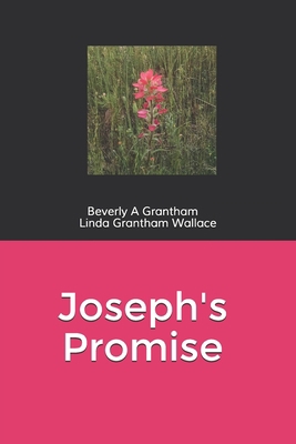 Joseph's Promise 1079530169 Book Cover
