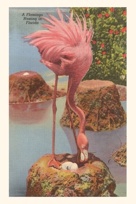 Vintage Journal Flamingo Nesting in Florida 1669519694 Book Cover