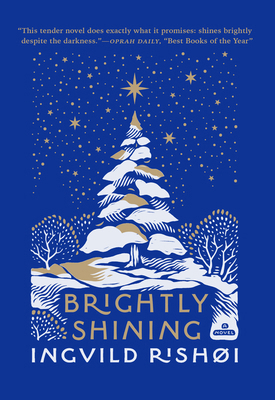 Brightly Shining 0802166032 Book Cover