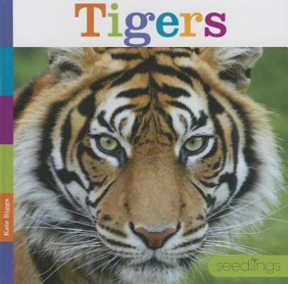 Tigers 1608183440 Book Cover