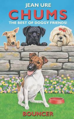 Bouncer 0006755119 Book Cover