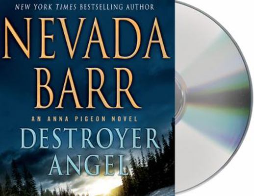 Destroyer Angel 1427235481 Book Cover