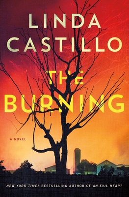 The Burning 1250781116 Book Cover