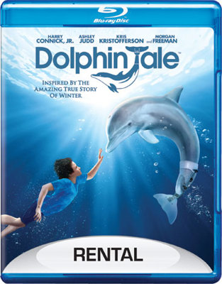 Dolphin Tale            Book Cover