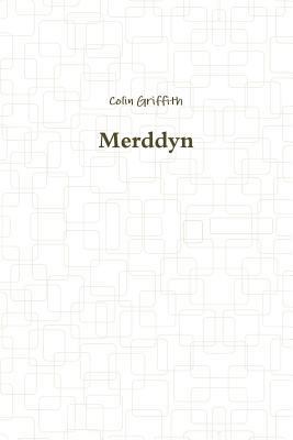 Merddyn 0359072666 Book Cover