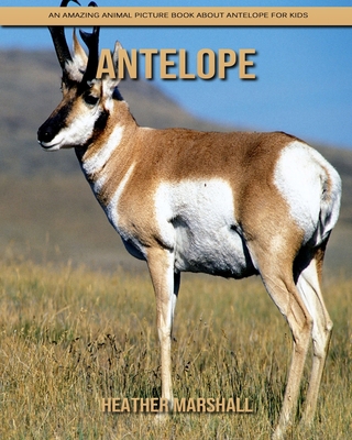 Paperback Antelope: An Amazing Animal Picture Book about Antelope for Kids [Large Print] Book