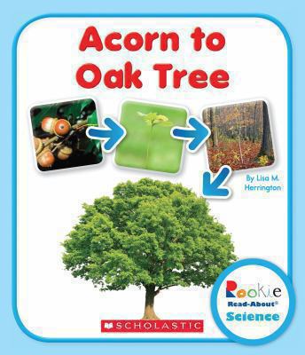 Acorn to Oak Tree 0531210545 Book Cover