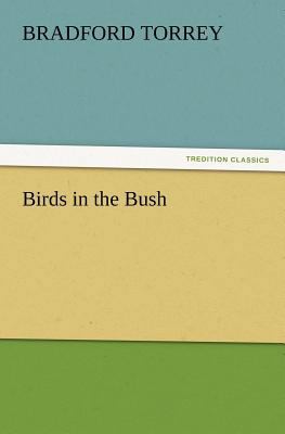 Birds in the Bush 3847219073 Book Cover