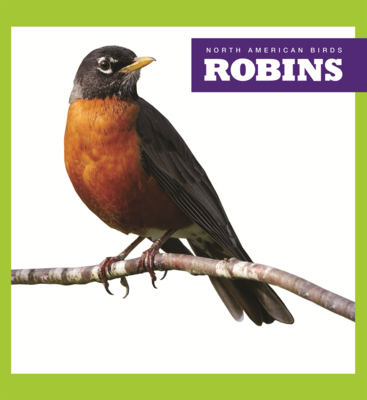 Robins B0GN6ZV91M Book Cover