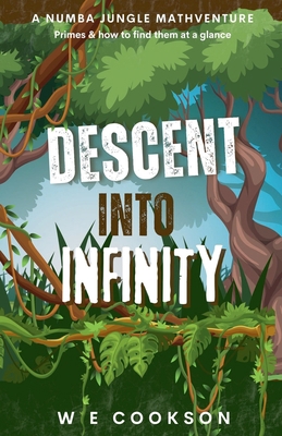 Descent Into Infinity 1739382803 Book Cover