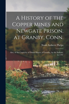A History of the Copper Mines and Newgate Priso... 1018101896 Book Cover