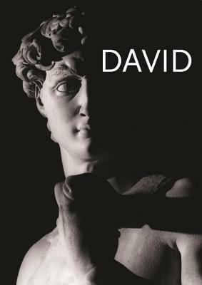 Michelangelo's David 8866481742 Book Cover