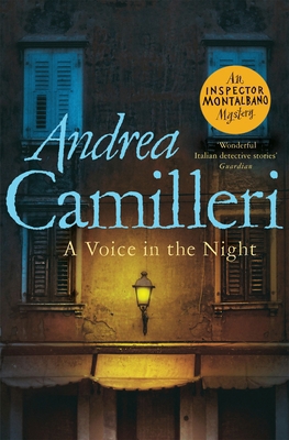 A Voice in the Night 1529043980 Book Cover