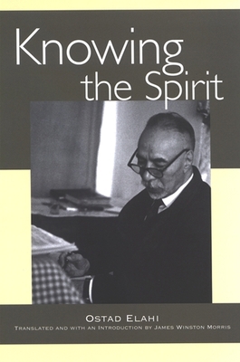 Knowing the Spirit 0791468585 Book Cover