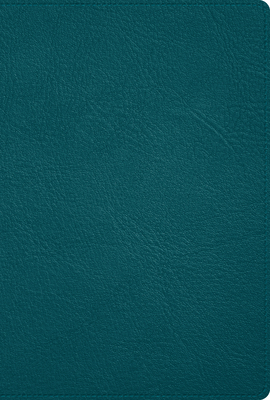 Rvr 1960 Biblia Deluxe, Verde Turquesa Piel Gen... [Spanish] 1087774896 Book Cover