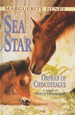 Sea Star, Orphan of Chincoteague 0812491564 Book Cover
