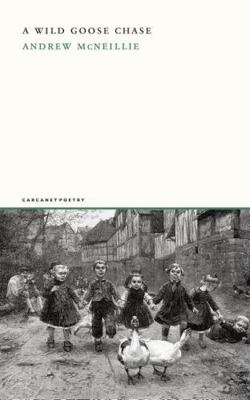 A Wild Goose Chase 1800175094 Book Cover