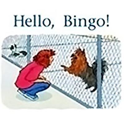 Hello, Bingo!: Leveled Reader Bookroom Package ... 141892458X Book Cover