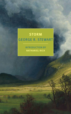 Storm 1681375184 Book Cover