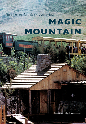 Magic Mountain 1467134759 Book Cover