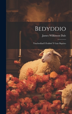 Bedyddio: Ymchwiliad i Feddwl y Gair Baptizo [Welsh] 1020842393 Book Cover