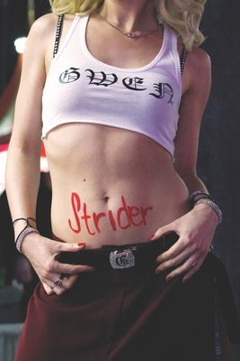 Strider B0FLF4M45J Book Cover