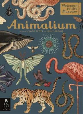 Animalium 1787411648 Book Cover