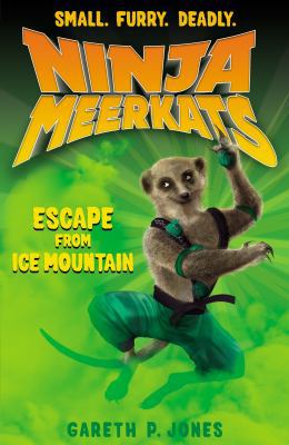 Escape from Ice Mountain 184715204X Book Cover
