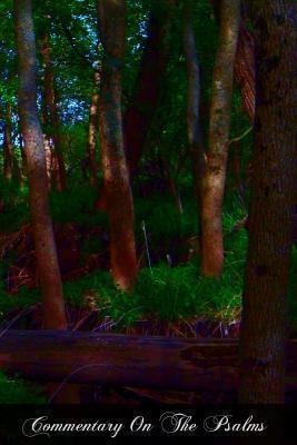 Commentary On The Psalms: Psalms 1 - 50 1477545883 Book Cover