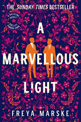 A Marvellous Light: A dazzling, queer romantic ... 1529080908 Book Cover