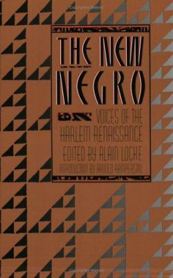 The New Negro 0684838311 Book Cover
