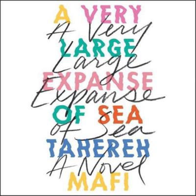 A Very Large Expanse of Sea 1982555785 Book Cover